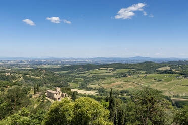Italien, Toskana, Montepulciano, Grüne Landschaft des Chiana-Tals im Sommer - MAMF02513