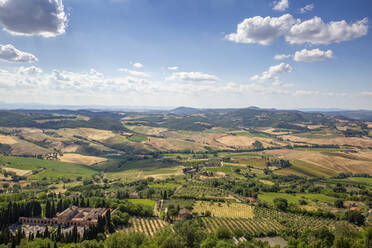 Italien, Toskana, Montepulciano, Blick auf eine ländliche Landschaft im Sommer - MAMF02524