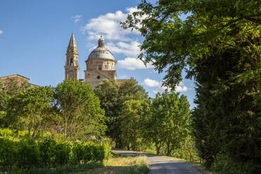 Italien, Toskana, Montepulciano, Grüne Bäume am Fußweg zur Kirche San Biagio - MAMF02533