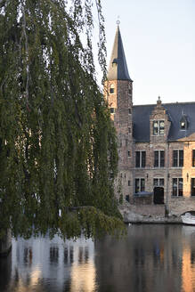 Belgium, West Flanders, Bruges, City river with willow tree in foreground and spired tower in background - FDF00354