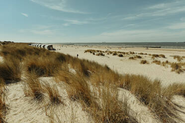 Niederlande, Zeeland, Groede, Sandstrand im Sommer - FDF00369