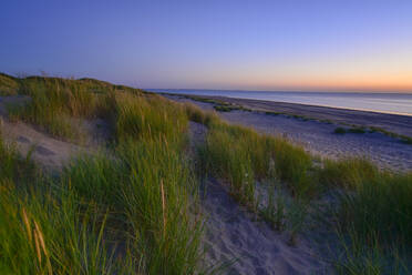 Niederlande, Südholland, Ouddorp, Blick auf den grasbewachsenen Strand in der Abenddämmerung - FDF00381