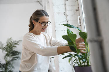 Lächelnde reife Geschäftsfrau, die eine Pflanze im Büro untersucht - VPIF07863