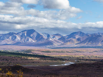 Herbstfarbenwechsel unter den Bäumen und Sträuchern im Denali National Park, Alaska, Vereinigte Staaten von Amerika, Nordamerika - RHPLF23432