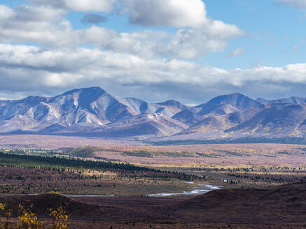 Herbstfarbenwechsel unter den Bäumen und Sträuchern im Denali National Park, Alaska, Vereinigte Staaten von Amerika, Nordamerika - RHPLF23432
