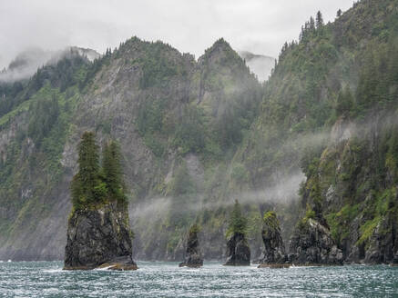 Ein Blick auf Spire Cove in der Resurrection Bay im Kenai Fjords National Park, Alaska, Vereinigte Staaten von Amerika, Nordamerika - RHPLF23439