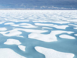 Melt water pools in the 10/10ths pack ice in McClintock Channel, Northwest Passage, Nunavut, Canada, North America - RHPLF23443