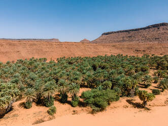 Die Oase von Diouk, Mauretanien, Wüste Sahara, Westafrika, Afrika - RHPLF23512