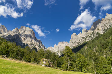 Dolomites, Canali valley, Tonadico, Trentino, Italy, Europe - RHPLF23523