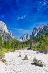Dolomiten, Canali-Tal, Tonadico, Trentino, Italien, Europa - RHPLF23524