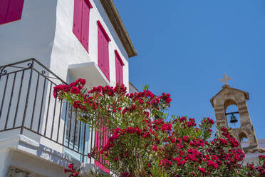 Blick auf weiß getünchte Gebäude, Skopelos Stadt, Insel Skopelos, Sporaden, Griechische Inseln, Griechenland, Europa - RHPLF23541