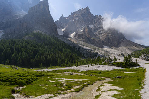 Cimon della Pala im Sommer, Venegiatal, Park Pale di San Martino, Dolomiten, Trentino, Italien, Europa - RHPLF23602