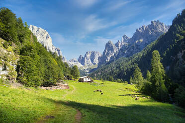 Dolomites, Canali valley, Tonadico, Trentino, Italy, Europe - RHPLF23622