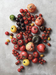 Stilleben Vielfalt Tomaten auf grauem Hintergrund - FSIF06260