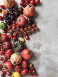 Stilleben Vielfalt von Tomaten auf grauem Hintergrund - FSIF06262