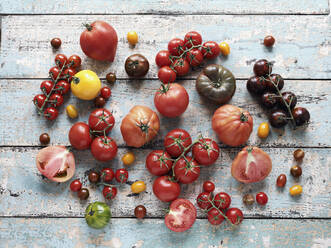 Stilleben Vielfalt von Tomaten auf rustikalem Hintergrund - FSIF06264