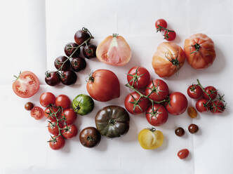 Blick von oben Stillleben Vielfalt von Tomaten auf weißem Hintergrund - FSIF06270