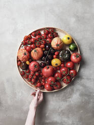 Blick von oben, die Hand greift nach einer Vielzahl von Tomaten auf einem Tablett - FSIF06272