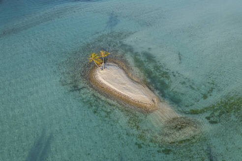 Aerial view of coconut trees in a small beach surrounded by the ocean in Bora Bora island, French Polynesia. - AAEF17179