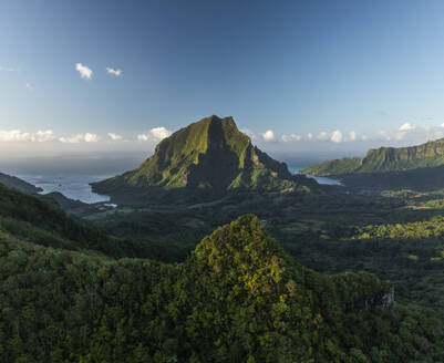 Luftaufnahme der Opunohu-Bucht, Moorea, Französisch-Polynesien. - AAEF17187