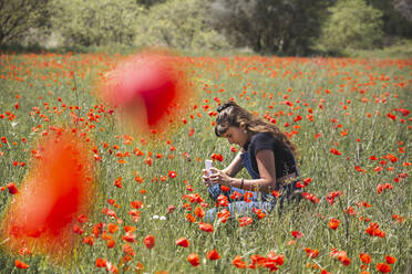 Junge Frau fotografiert Mohnblumen mit ihrem Smartphone auf einem Feld - PCLF00219