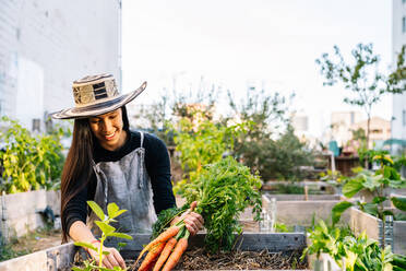 Happy woman harvesting carrots in urban garden - GDBF00020