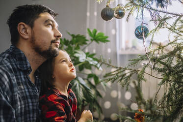 Vater und Sohn betrachten den geschmückten Weihnachtsbaum - ANAF00905