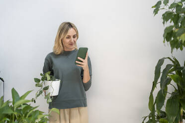 Lächelnde Frau mit Topfpflanze und Smartphone vor einer Wand - SVKF01146