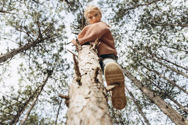 Girl climbing on pine tree in forest - SIF00662