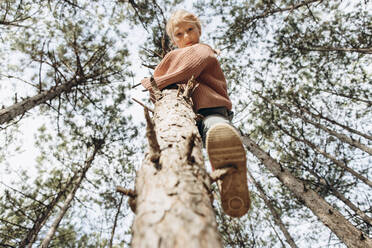 Mädchen klettert auf Kiefer im Wald - SIF00662