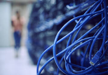 Nahaufnahme der blauen Kabel im Serverraum - TETF01863