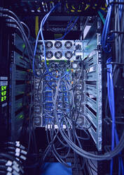 Netzwerkkabel im Serverraum - TETF01917
