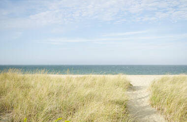 USA, Massachusetts, Cape Cod, Nantucket Island, Fußweg am Strand von Siasconset mit Strandhafer - TETF01920