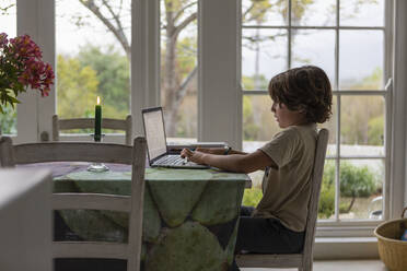 Junge (8-9) mit Laptop im Esszimmer - TETF01931
