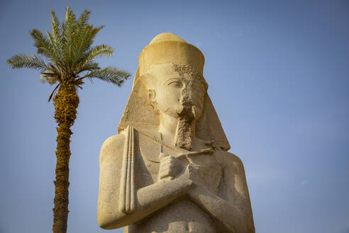 Ägypten, Luxor, Pharao-Statue und Palme im Tempel von Karnak - TETF01960