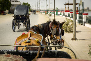 Ägypten, Edfu, Touristische Pferdekutschen auf der Straße - TETF01964