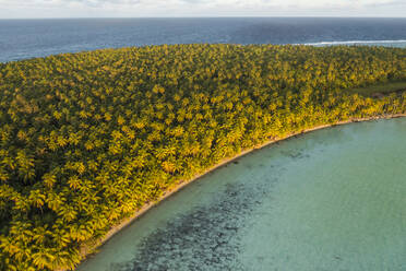 Luftaufnahme der Küstenlinie der Insel Oroatera, Inseln über dem Winde, Französisch-Polynesien. - AAEF17254