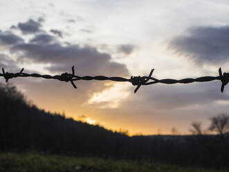 Barbed wire with sun setting in background - HUSF00332
