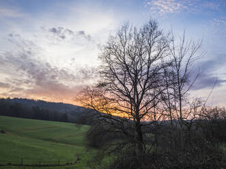 Deutschland, Bayern, Ländliche Landschaft in der Oberpfalz in der Herbstdämmerung - HUSF00333