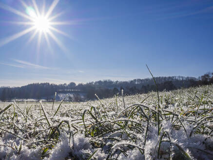 Sonnenschein über schneebedecktem Gras - HUSF00338