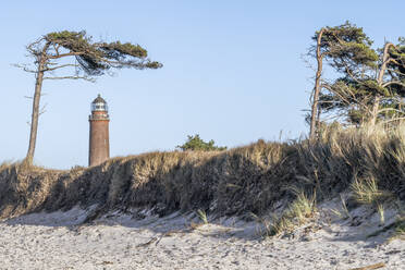 Deutschland, Mecklenburg-Vorpommern, Grasbewachsener Strand auf der Halbinsel Fischland-Darss-Zingst mit Leuchtturm Darsser Ort Natureum im Hintergrund - KEBF02591