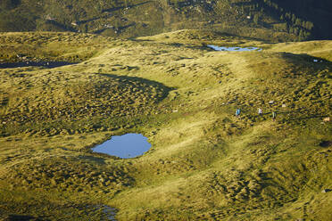 Austria, Tyrol, Green alpine landscape with small ponds - CVF02217