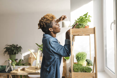 Junge Frau bewässert Grünpflanzen auf einem Regal zu Hause - ALKF00016