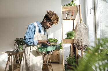 Smiling woman arranging plants in container at home - ALKF00030