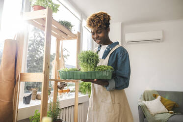 Smiling woman holding microgreen container at home - ALKF00034