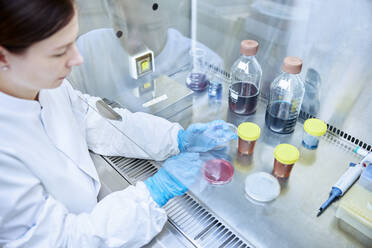 Female scientist testing in a microbiological lab - CVF02257