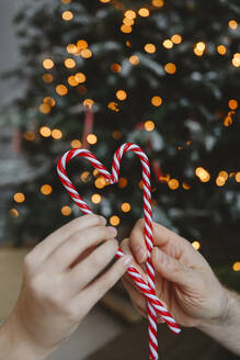 Father and daughter holding Christmas candy canes at home - EYAF02548