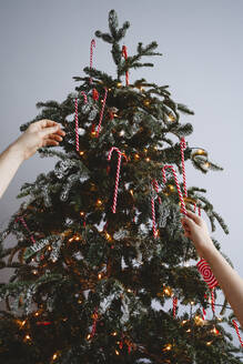 Hands of girl and man hanging candy canes on Christmas tree at home - EYAF02549