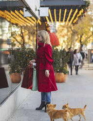 Frau mit Einkaufstaschen steht mit Chihuahua-Hunden auf dem Gehweg - JCCMF09060