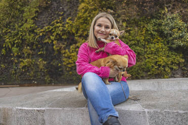 Lächelnde reife Frau sitzt mit Chihuahua-Hunden an der Wand - JCCMF09066